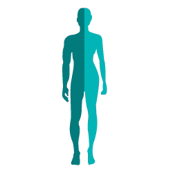 nervous system intelligence